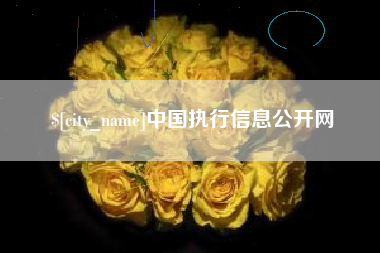 石家庄中国执行信息公开网