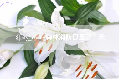 石家庄森林消防日是哪一天