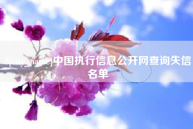 石家庄中国执行信息公开网查询失信名单