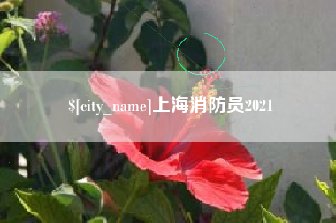 石家庄上海消防员2021