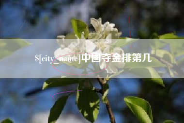 石家庄中国夺金排第几