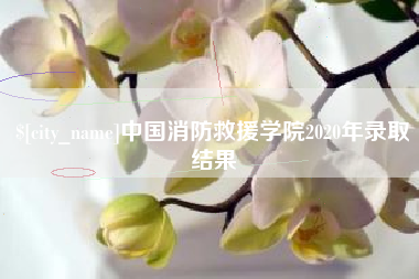 石家庄中国消防救援学院2020年录取结果