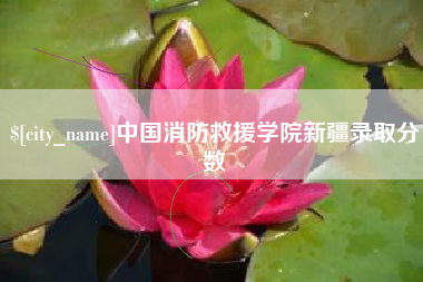 石家庄中国消防救援学院新疆录取分数
