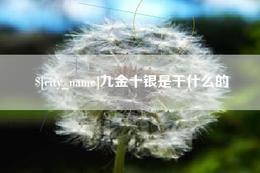 石家庄九金十银是干什么的