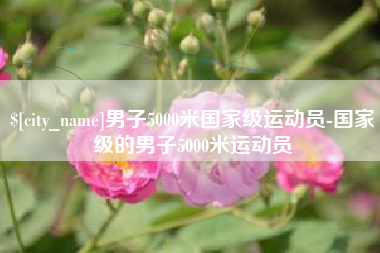 石家庄男子5000米国家级运动员-国家级的男子5000米运动员
