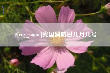 石家庄我国消防日几月几号