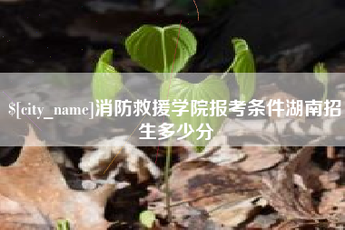 石家庄消防救援学院报考条件湖南招生多少分