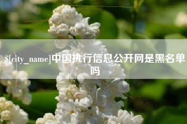 石家庄中国执行信息公开网是黑名单吗