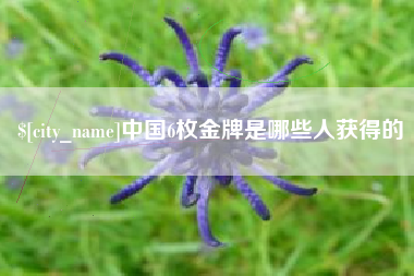 石家庄中国6枚金牌是哪些人获得的