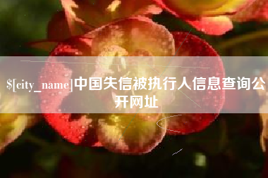 石家庄中国失信被执行人信息查询公开网址