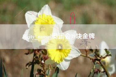 石家庄奥运会39块金牌
