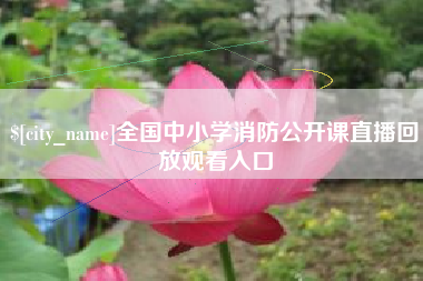 石家庄全国中小学消防公开课直播回放观看入口
