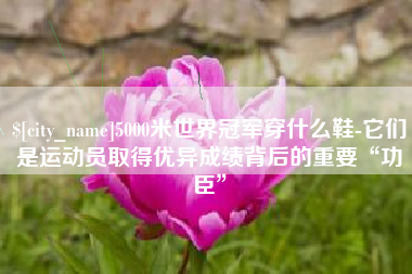 石家庄5000米世界冠军穿什么鞋-它们是运动员取得优异成绩背后的重要“功臣”