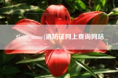 石家庄消防证网上查询网站