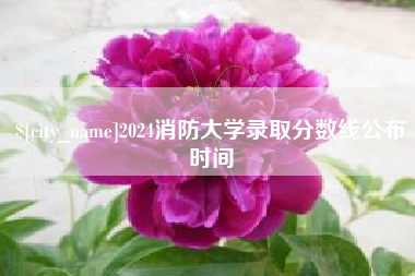 石家庄2024消防大学录取分数线公布时间