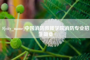 石家庄中国消防救援学院消防专业招生简章
