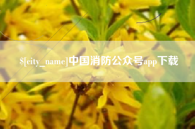 石家庄中国消防公众号app下载