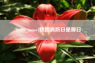 石家庄我国消防日是哪日