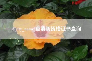 石家庄查消防资格证书查询