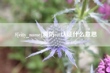 石家庄消防ccc认证什么意思
