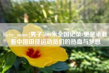 石家庄男子5000米全国记录-更是承载着中国田径运动员们的热血与梦想