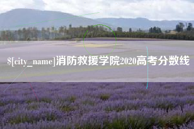 石家庄消防救援学院2020高考分数线