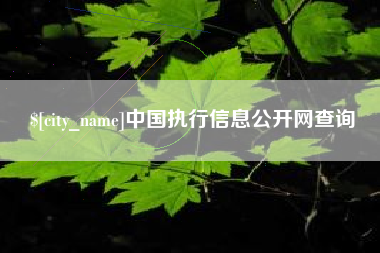 石家庄中国执行信息公开网查询