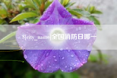 石家庄全国消防日哪一