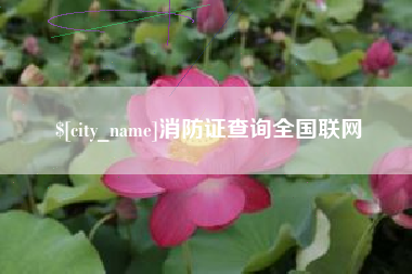 石家庄消防证查询全国联网