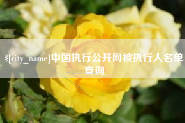 石家庄中国执行公开网被执行人名单查询