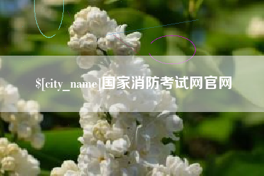 石家庄国家消防考试网官网