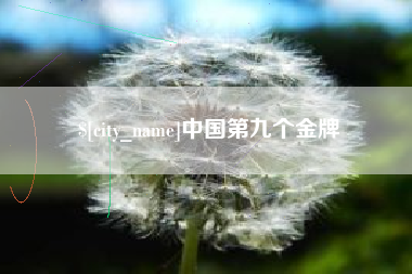 石家庄中国第九个金牌