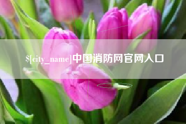 石家庄中国消防网官网入口