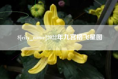 石家庄2022年九宫格飞星图