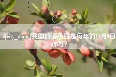 石家庄我国的消防日是每年的11月9日对吗？