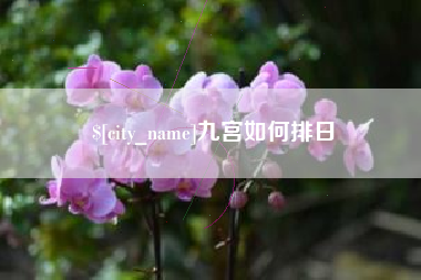 石家庄九宫如何排日