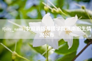 石家庄中国消防救援学院湖南招生情况公布