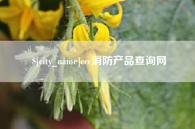 石家庄ccc消防产品查询网