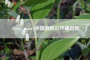 石家庄中国消防公开课回放