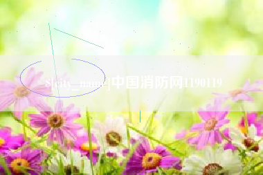 石家庄中国消防网1190119