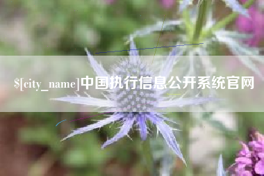 石家庄中国执行信息公开系统官网