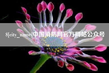 石家庄中国消防网官方网站公众号