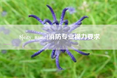 石家庄消防专业视力要求