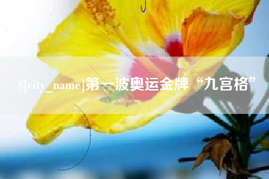 石家庄第一波奥运金牌“九宫格”