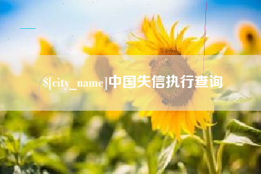 石家庄中国失信执行查询