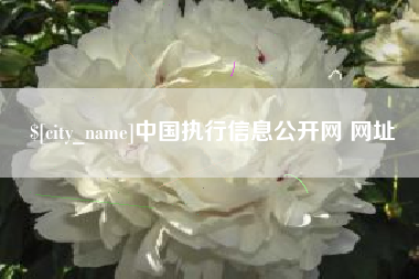 石家庄中国执行信息公开网 网址