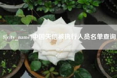石家庄中国失信被执行人员名单查询
