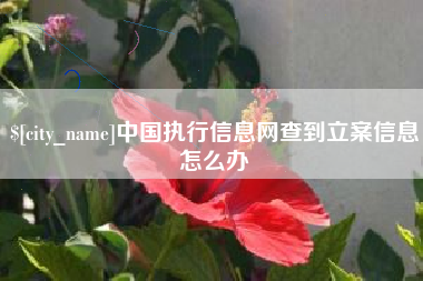 石家庄中国执行信息网查到立案信息怎么办
