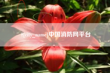 石家庄中国消防网平台