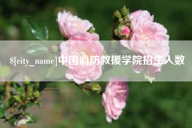 石家庄中国消防救援学院招生人数